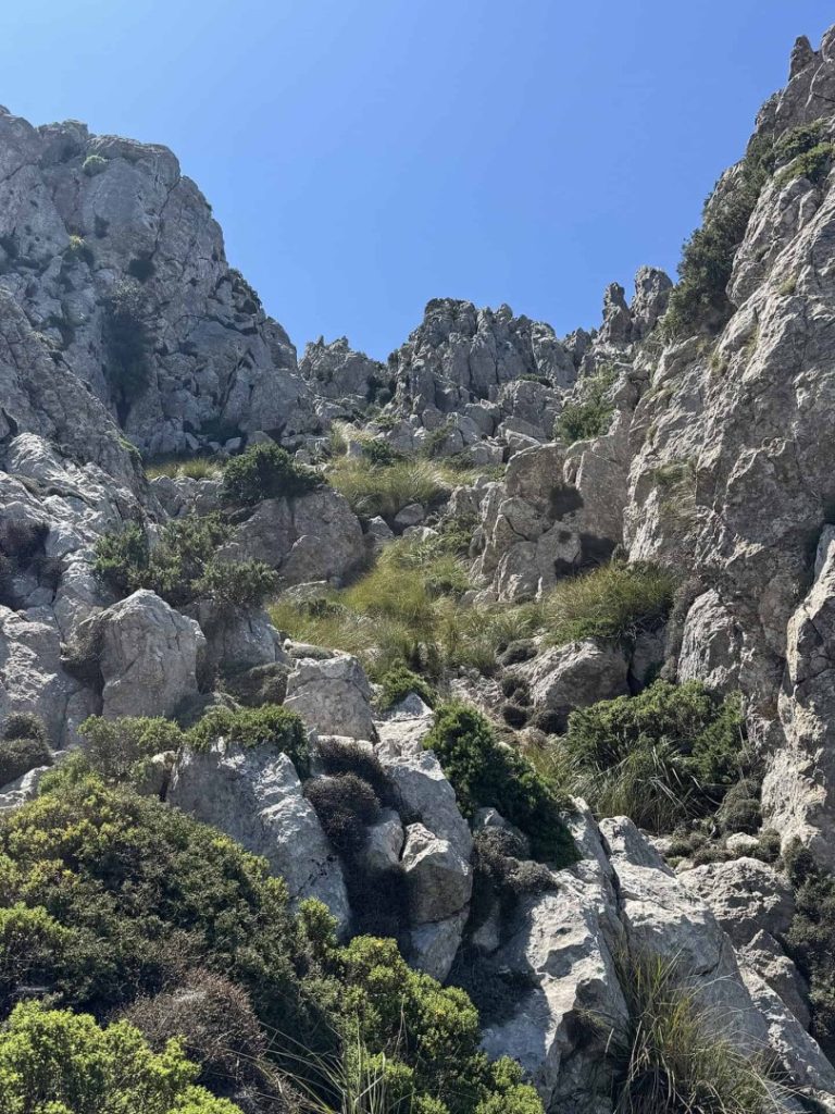 Comte Hike Mallorca: rocky mountain trail with rugged cliffs, natural terrain and scenic Tramuntana landscape under blue sky